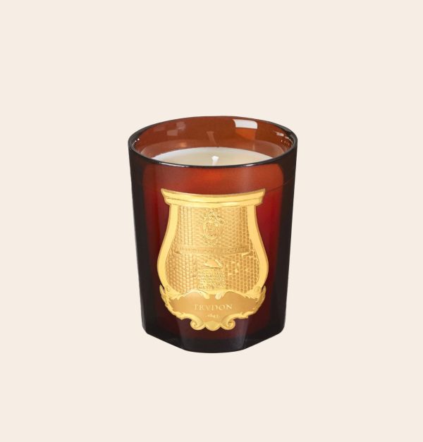 Candela Trudon Cire flowerart shop online fiorista legnano