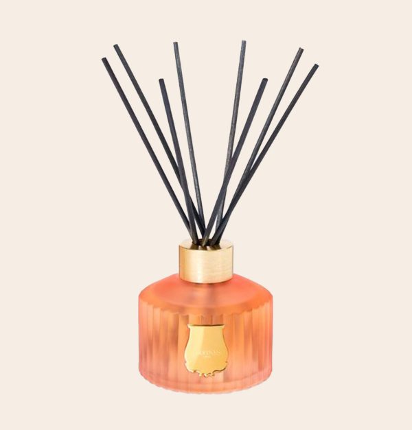 Candela Trudon LINEA TUILERIES astuccio flowerart shop online fiorista legnano