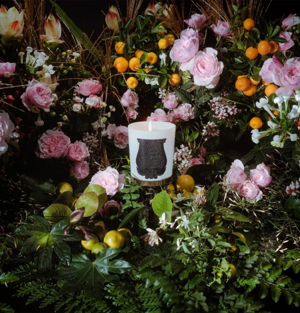 trudon giambattista valli candle rose poivree candele fioraio legnano flowerart matteo crugnola